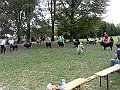 img 115